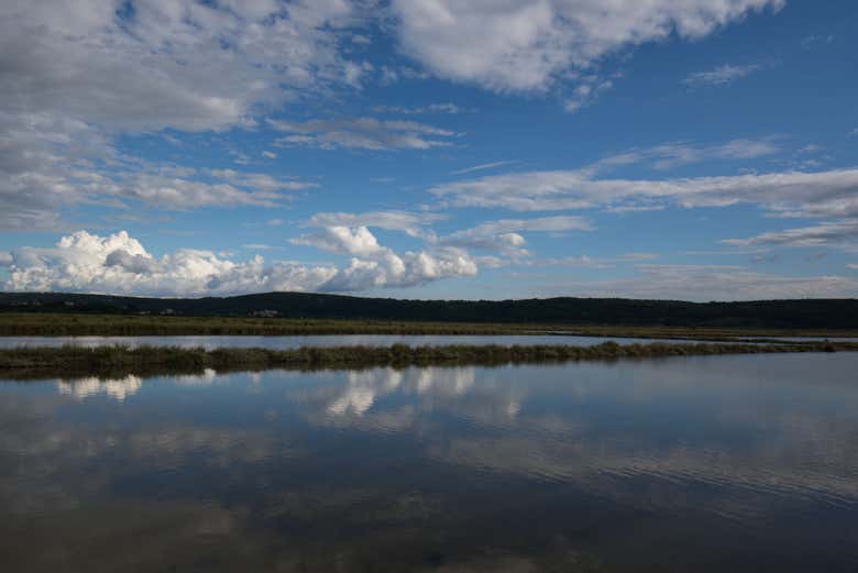 Le lagune salate di Sicciole