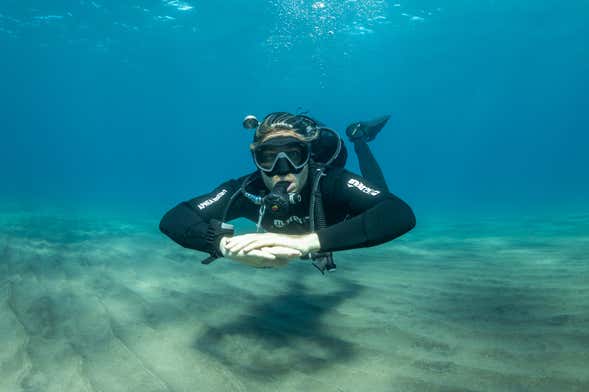 Immersione per principanti ad Abades