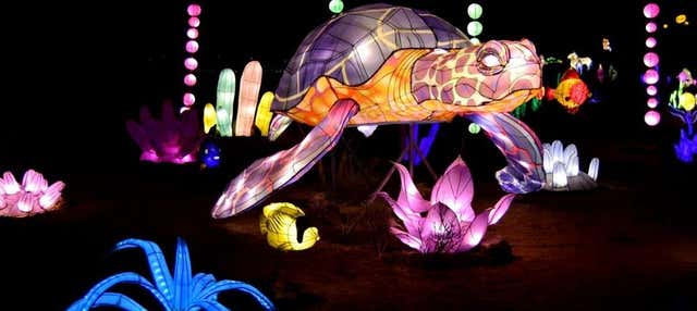 Entrada a Light Park Tenerife