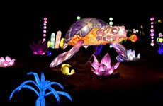 Entrada a Light Park Tenerife