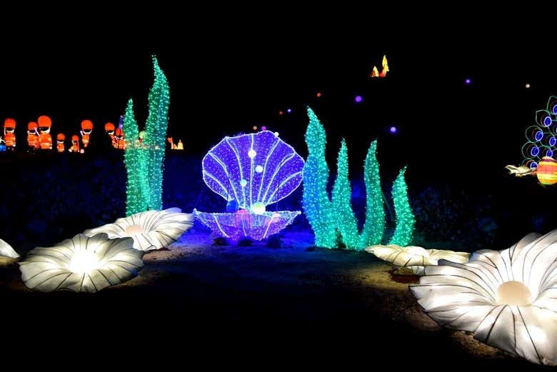 Ingressos do Light Park Tenerife