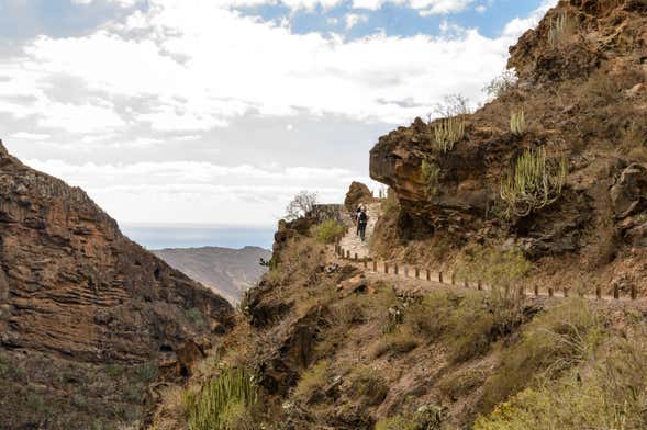 Tour por Adeje + Barranco del Inferno
