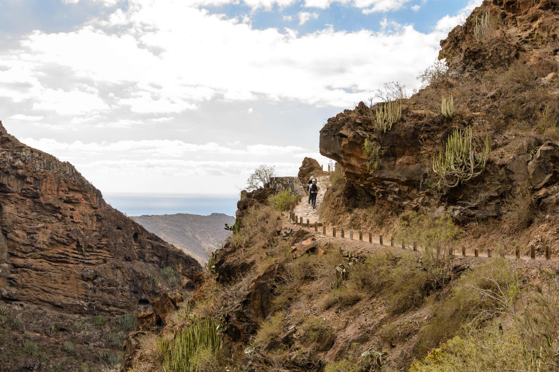 Tour por Adeje + Barranco del Infierno