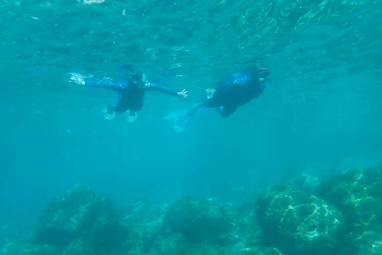Swimming in Atlantic waters