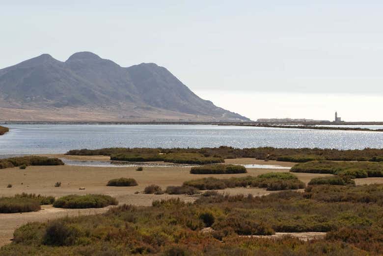 Wetlands in Cabo de Gata