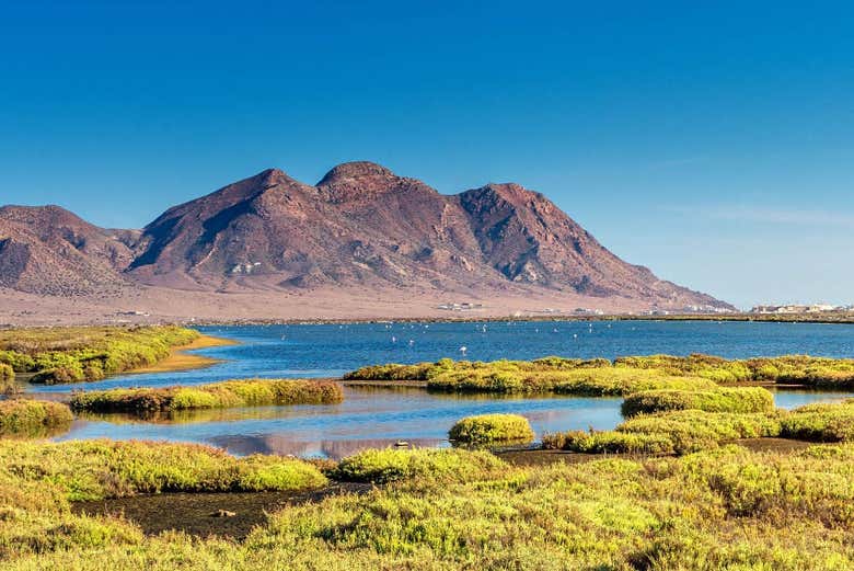 Salinas del Cabo de Gata