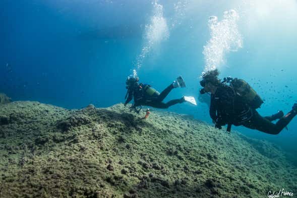 Bautismo de buceo en la isla del Fraile