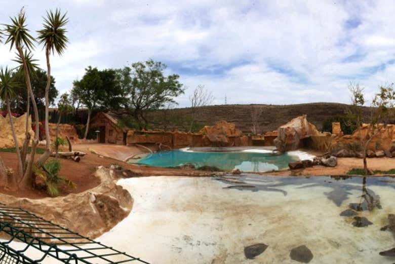 Cocodrilo Park Gran Canaria