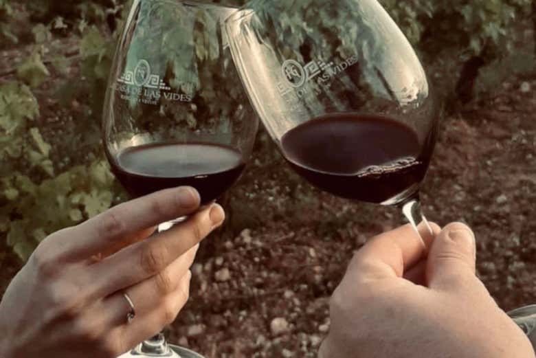 Brindando en los viñedos