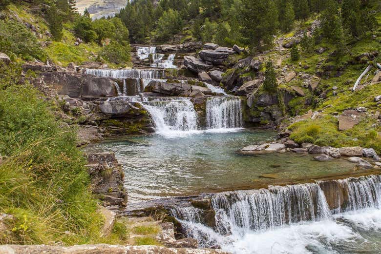 Naturaleza del pirineo de Huesca