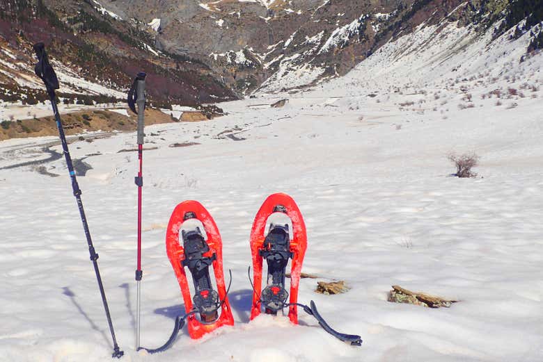 Raquetas de nieve y bastones