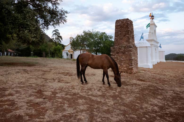Visite de la peña d'Arias Montano