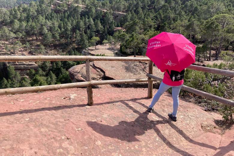 Contemplando Pinares de Rodeno