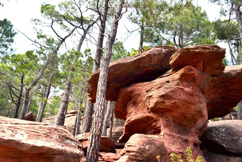 Formazioni geologiche a Pinares de Rodeno