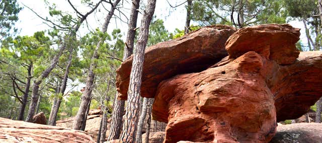 Tour por las pinturas rupestres de los Pinares de Rodeno