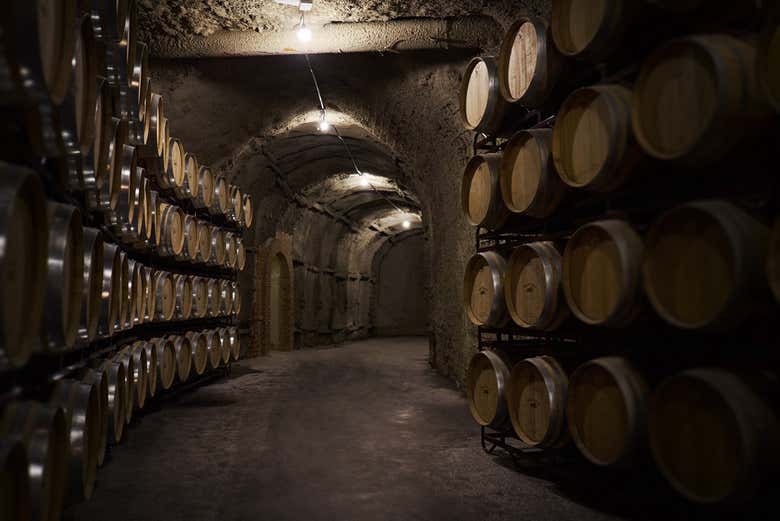 Wine barrels