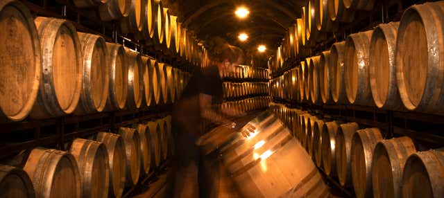Visita a las bodegas Vinícola Real