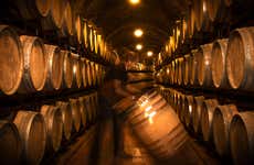 Visita a las bodegas Vinícola Real