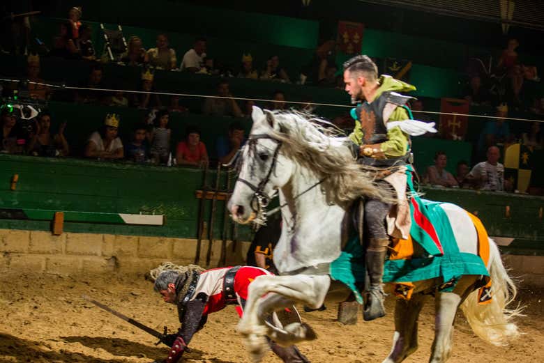 Cena con espectáculo en Magic Robin Hood