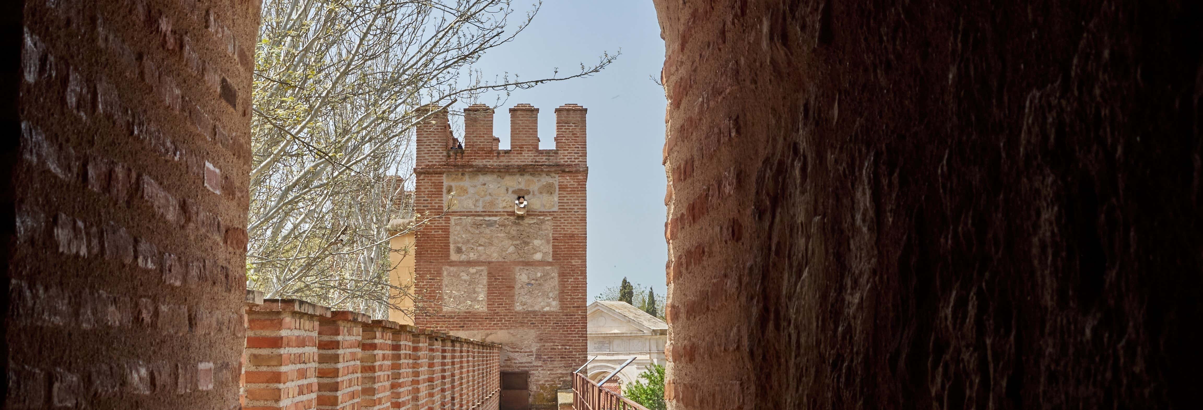 Visitas guiadas y free tours en Alcalá de Henares