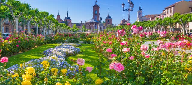 Alcalá de Henares Private Tour