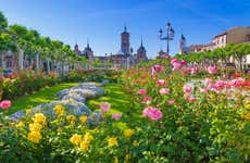 Alcalá de Henares Private Tour