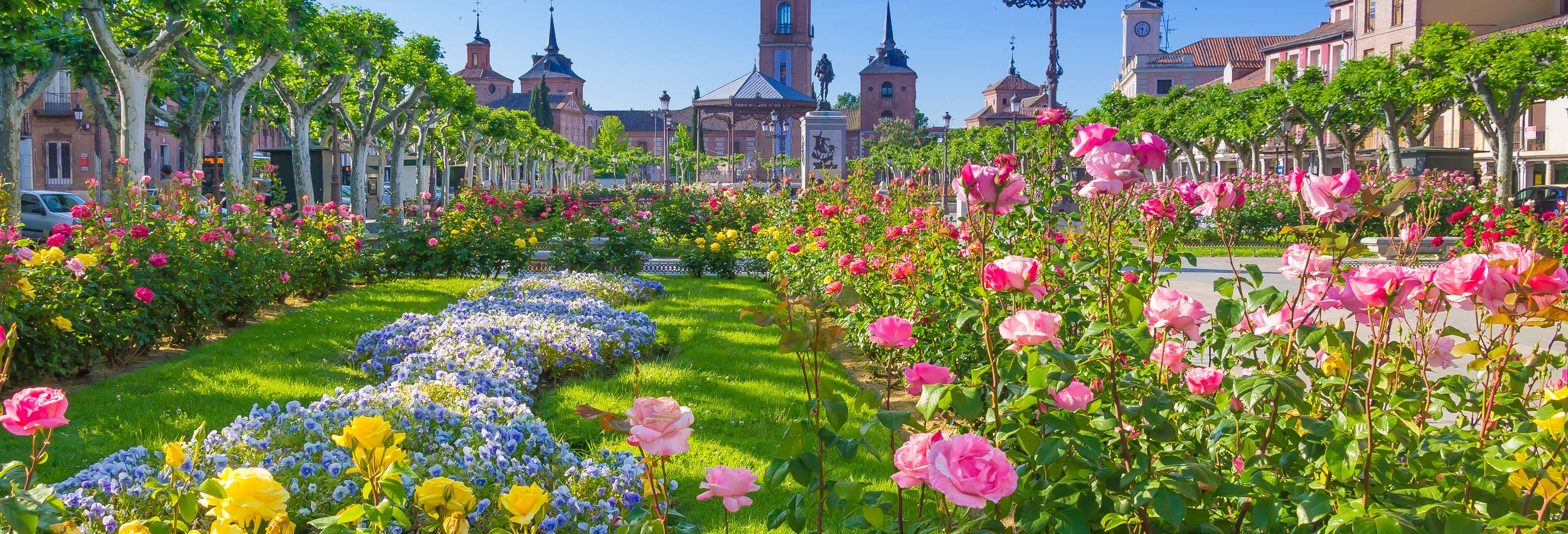 Visitas guiadas y free tours en Alcalá de Henares
