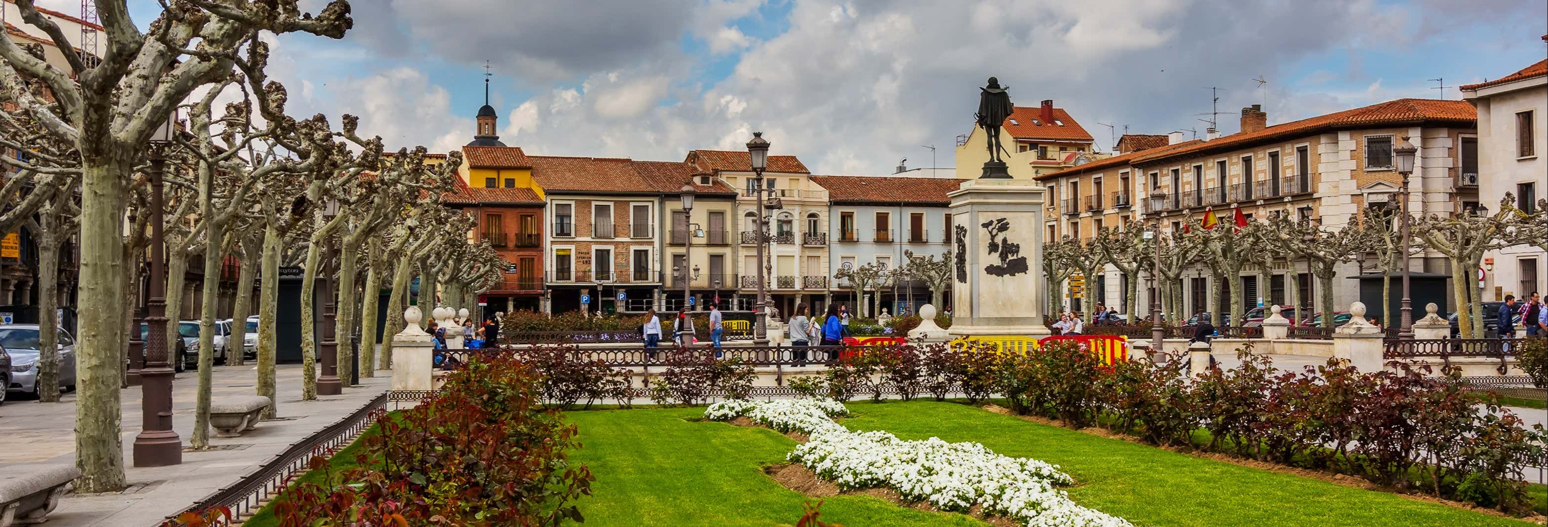 Visitas guiadas y free tours en Alcalá de Henares