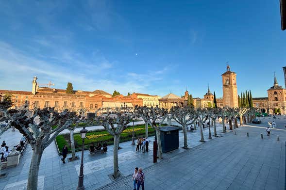 Visita guiada por Alcalá de Henares y su Universidad