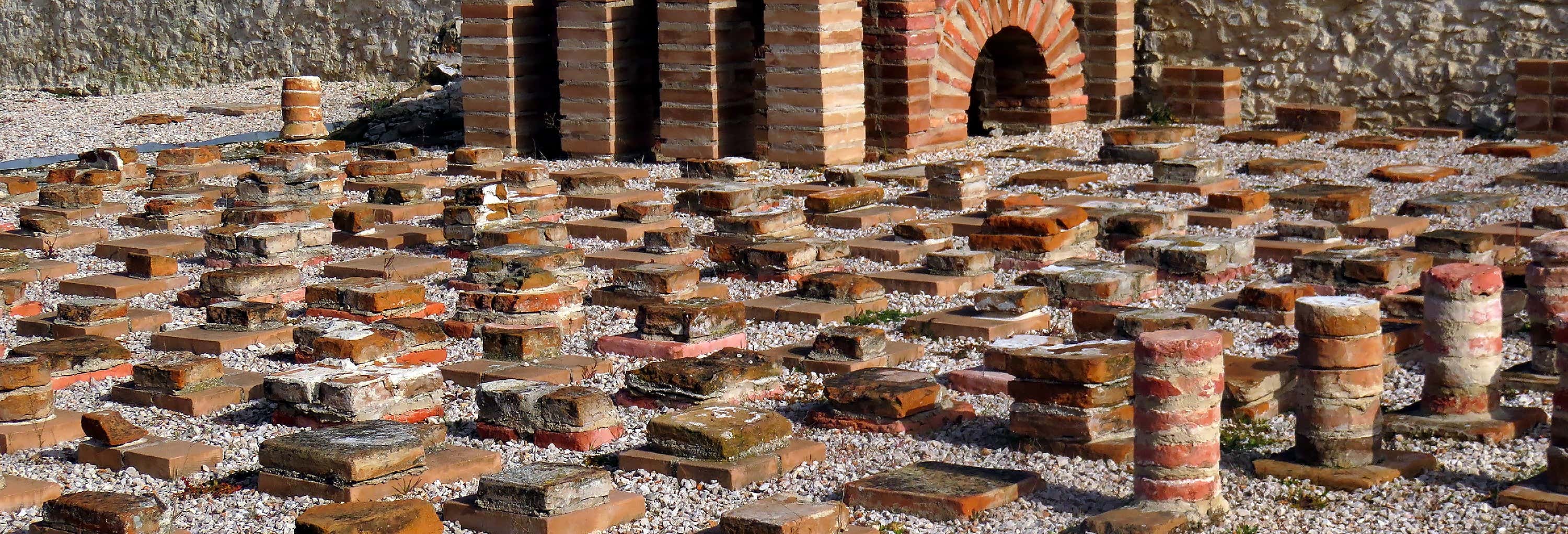Visitas guiadas y free tours en Alcalá de Henares