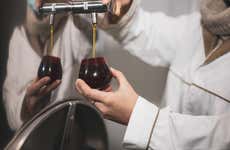 Alcaraz Organic Olive Oil Factory Tour