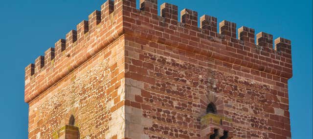 Visita guiada por Alcázar de San Juan