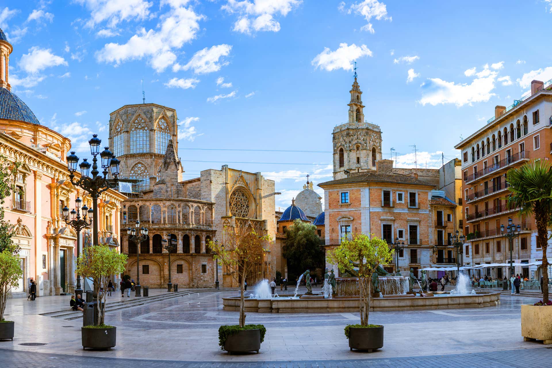 Excursión a Valencia + Bioparc