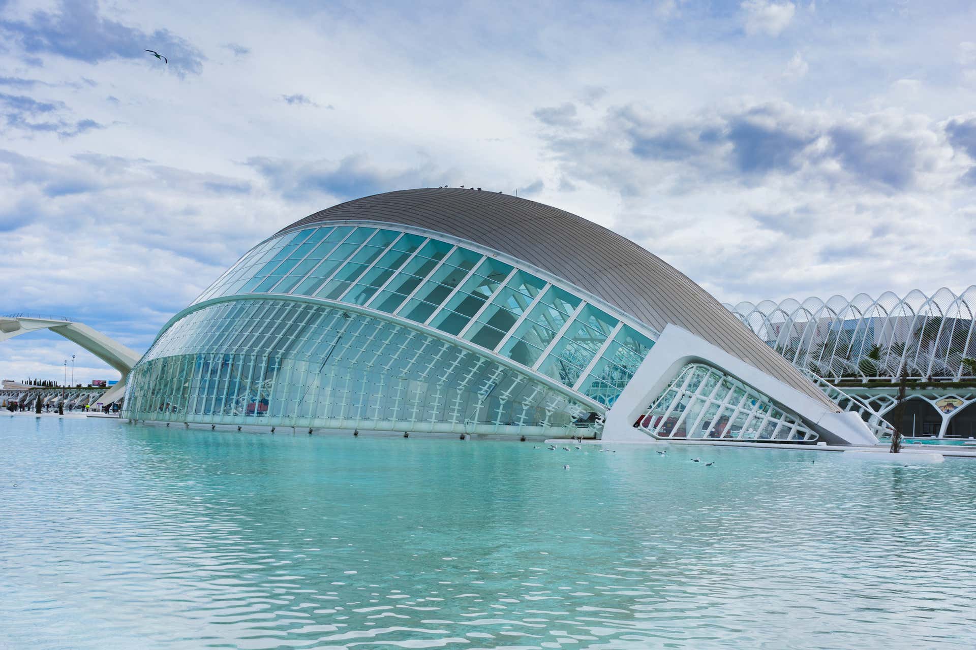 Excursión a Valencia + Oceanogràfic y Hemisfèric