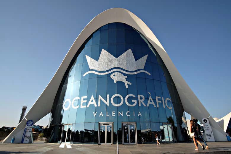 See over 500 different marine species at the Oceanografic