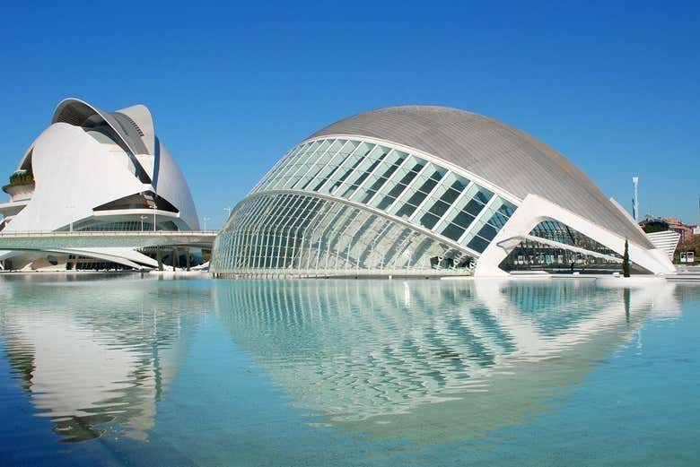 You'll visit the amazing Oceanogràfic