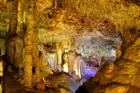 Excursão às cavernas dels Hams e Dinosaurland