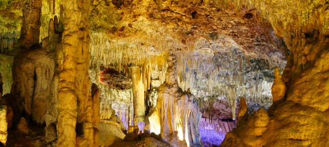 Hams Caves & Dinosaurland Trip