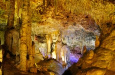 Hams Caves & Dinosaurland Excursion