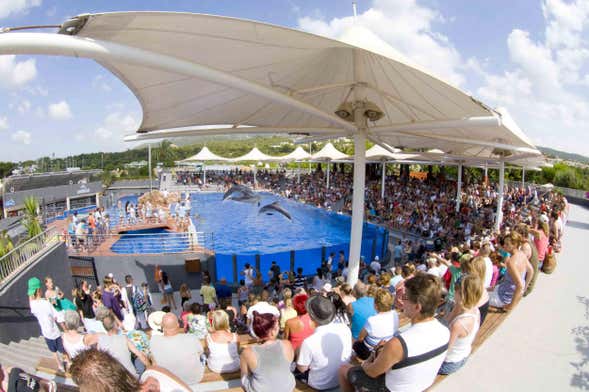 Excursión a Marineland