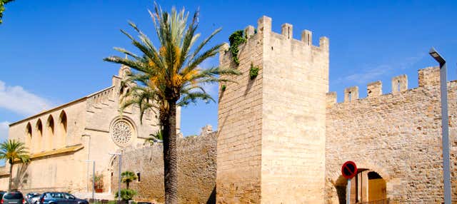 Free tour por Alcudia