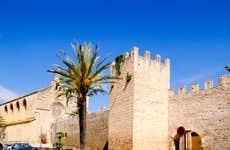 Free tour por Alcudia