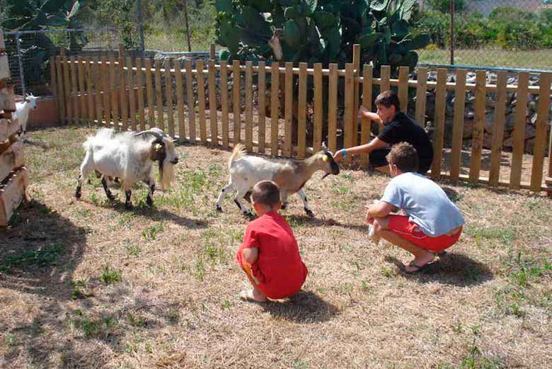 Visiter le ranch Ranxo Ses Roques