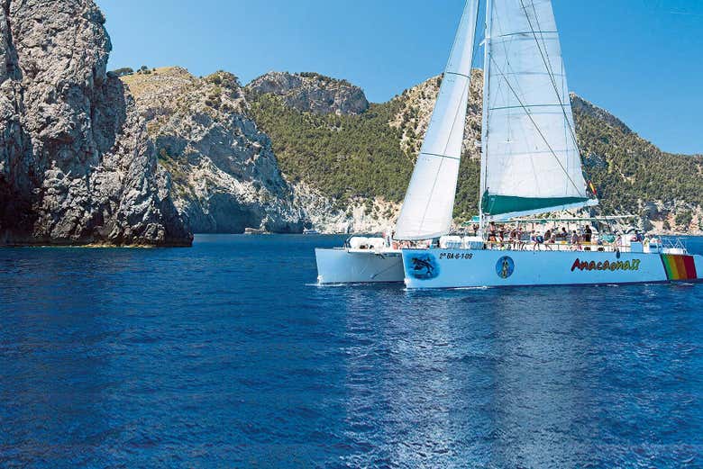 Velero catamarán en aguas de Alcudia