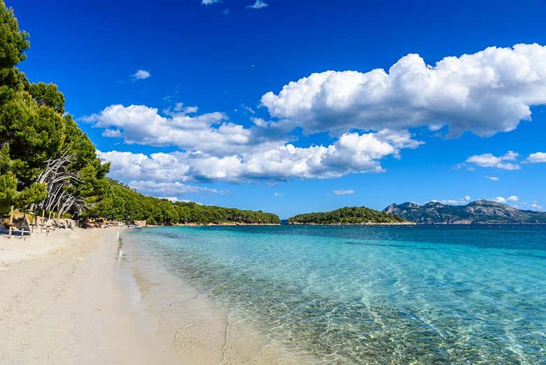 Panorâmica da praia de Formentor