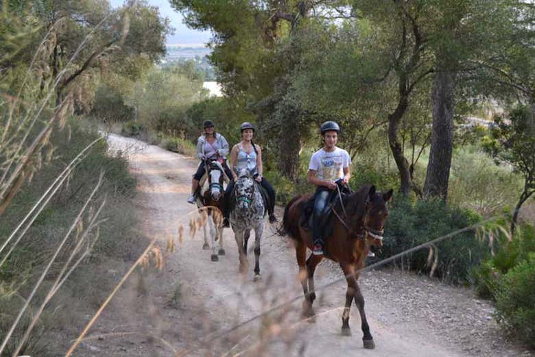 Passeio a cavalo por Alcudia