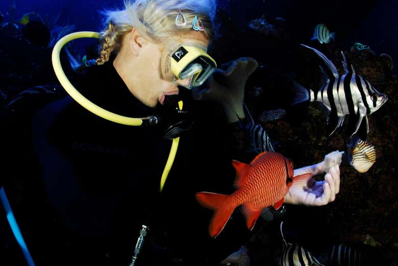 Submarinista alimentando a un pez del Palma Aquarium