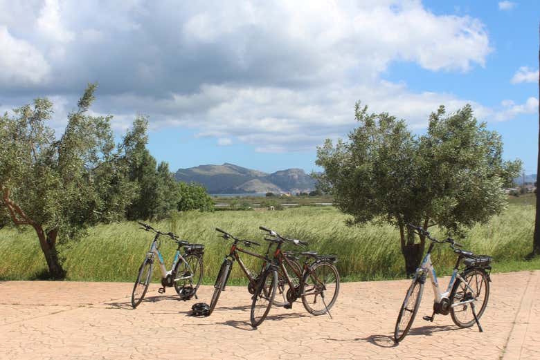 Bicis para le experiencia 