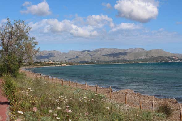 Tour en bicicleta por Alcudia