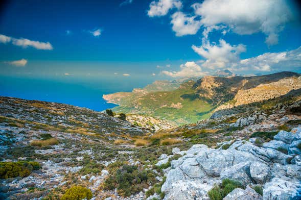 Tour dell'isola di Maiorca